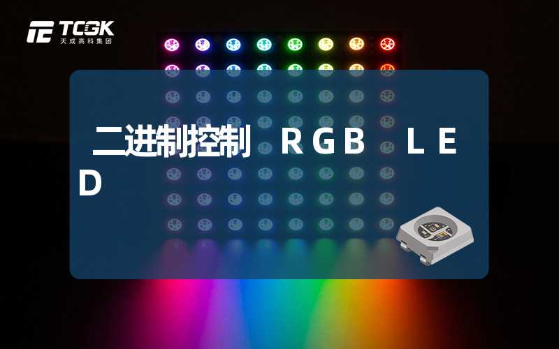 二进制控制 RGB LED